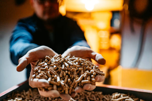 Hands holding biomass pellets with industrial background